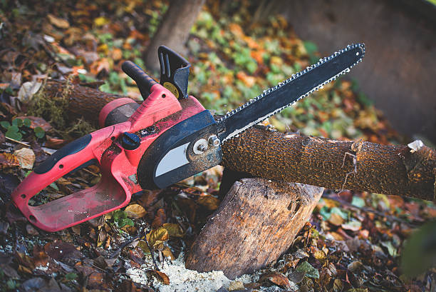 Reliable Breinigsville, PA Tree Care Solutions